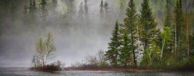Guides des parcs du Quebec