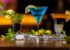 Une envie de cocktails à Paris, voici 3 bonnes adresses.