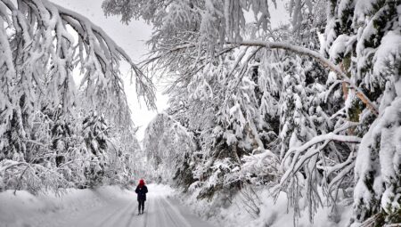 Le froid au Québec
