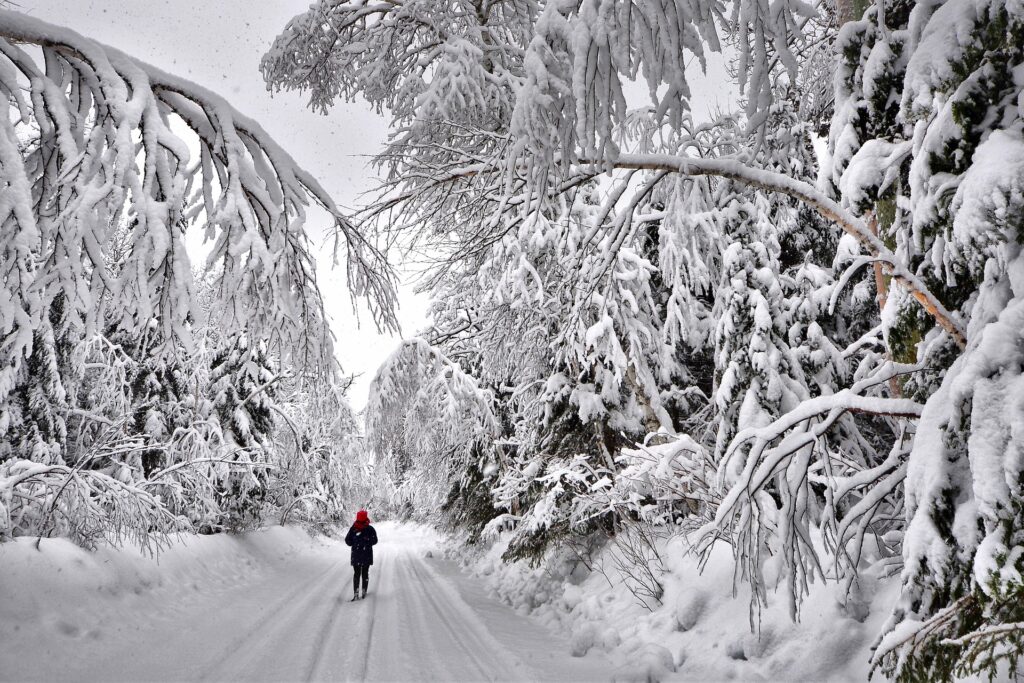 Survivre à une Tempête de Neige au Canada Survivre à une Tempête de Neige au Canada