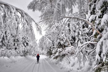Survivre à une Tempête de Neige au Canada