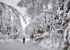 Survivre à une Tempête de Neige au Canada