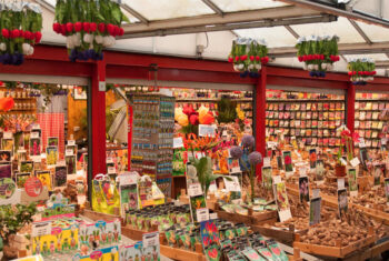 Ces marchés où j’ai perdu la notion du temps : errances culinaires et culturelles