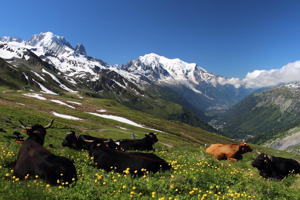 Gravir le toit de l’Europe : la fabuleuse aventure de la montée du Mont Blanc